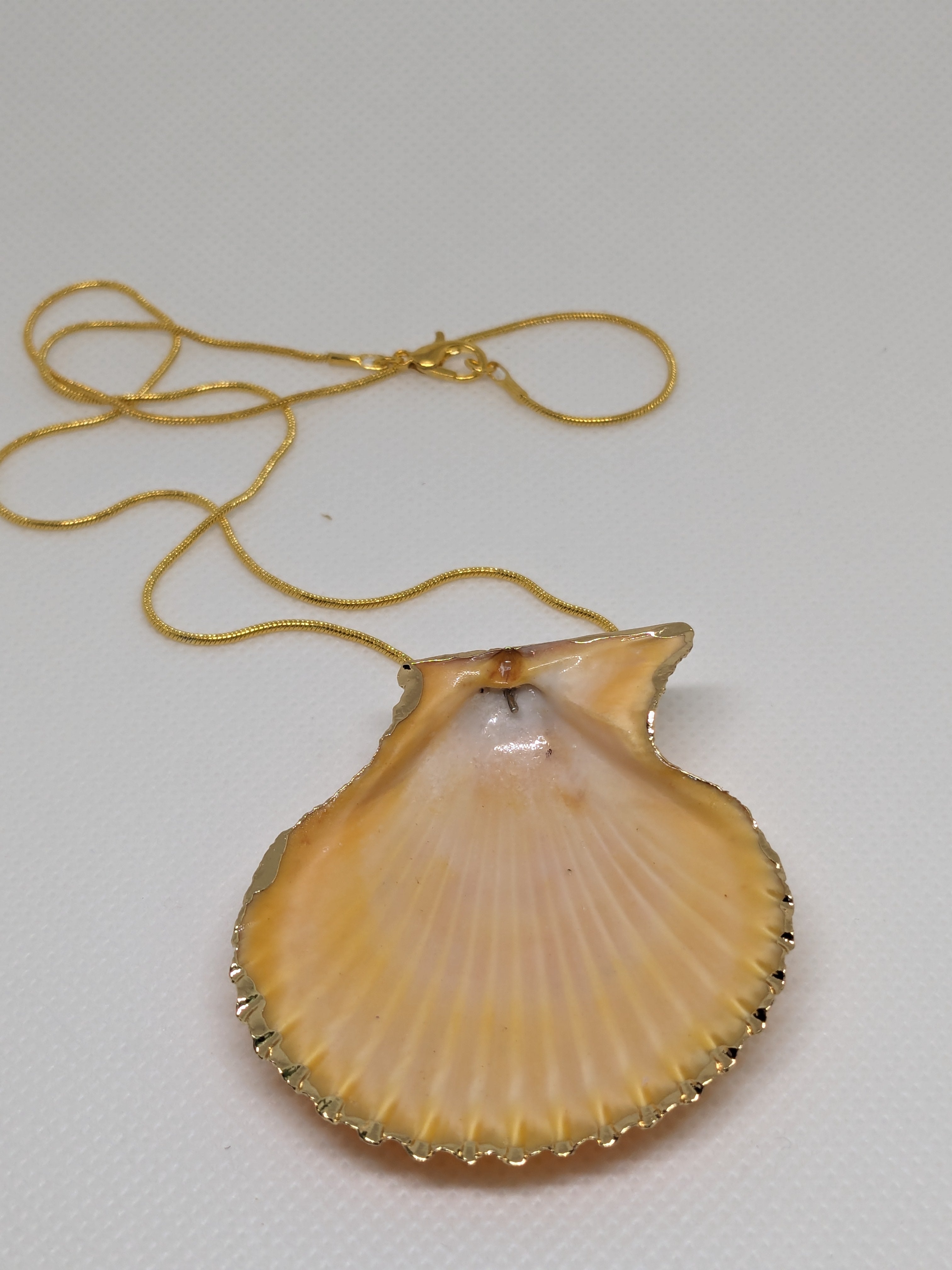 Scallop Shell Necklace 18" orange