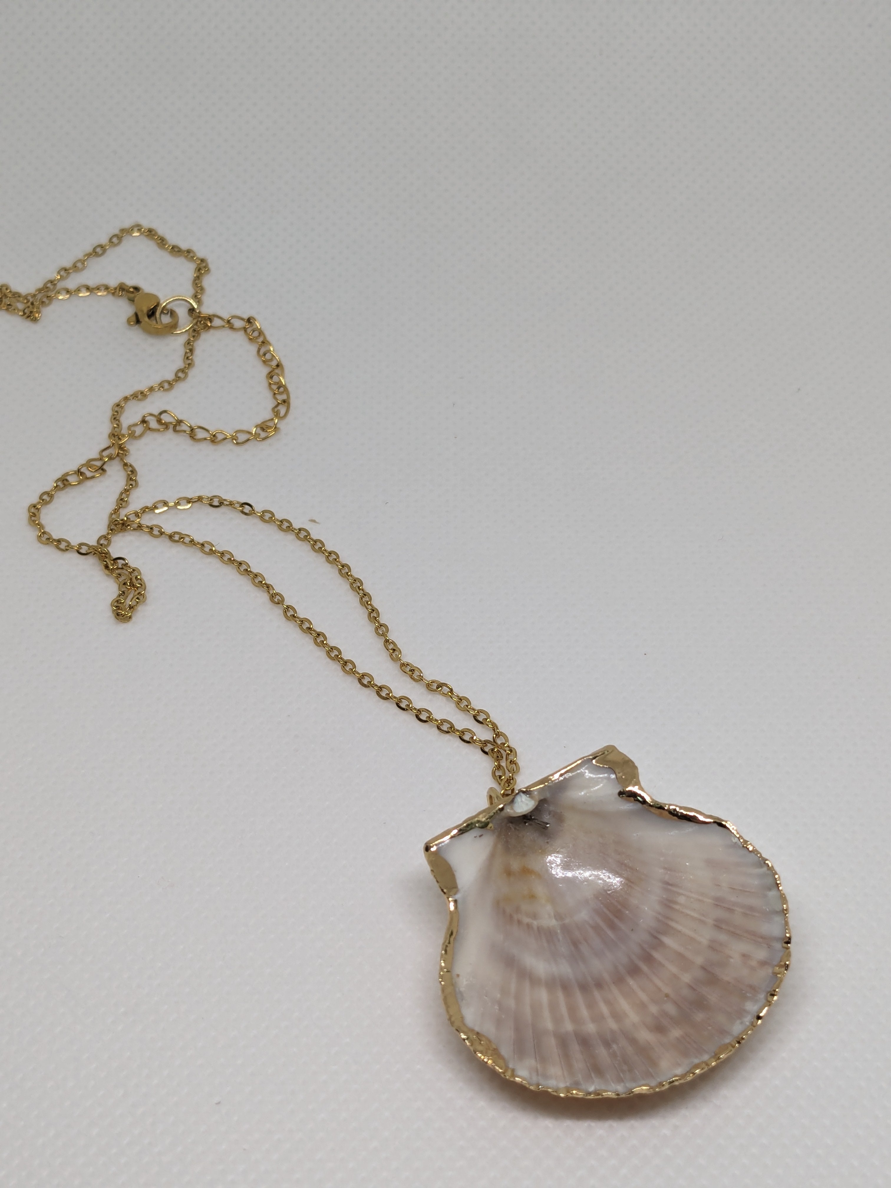 Scallop Shell Necklace 16" browns