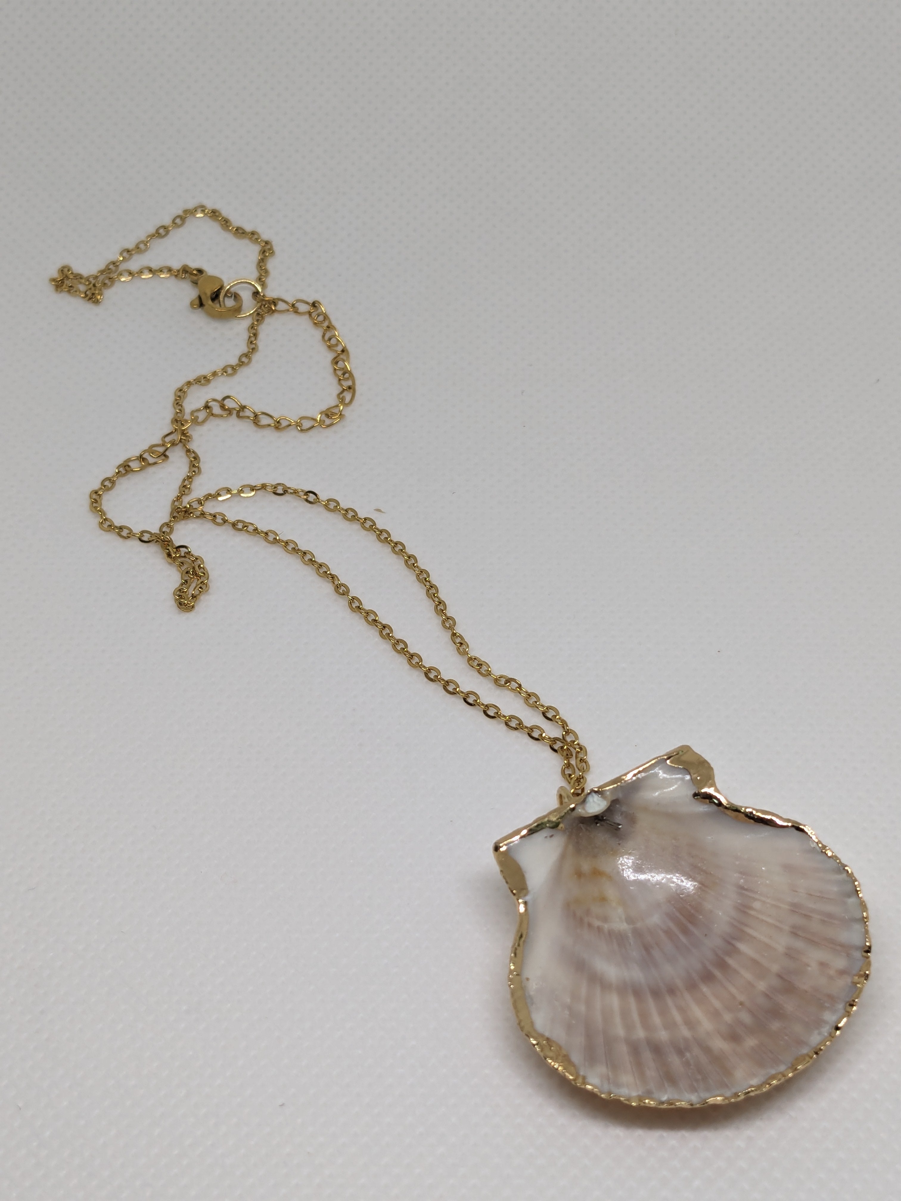 Scallop Shell Necklace 16" browns