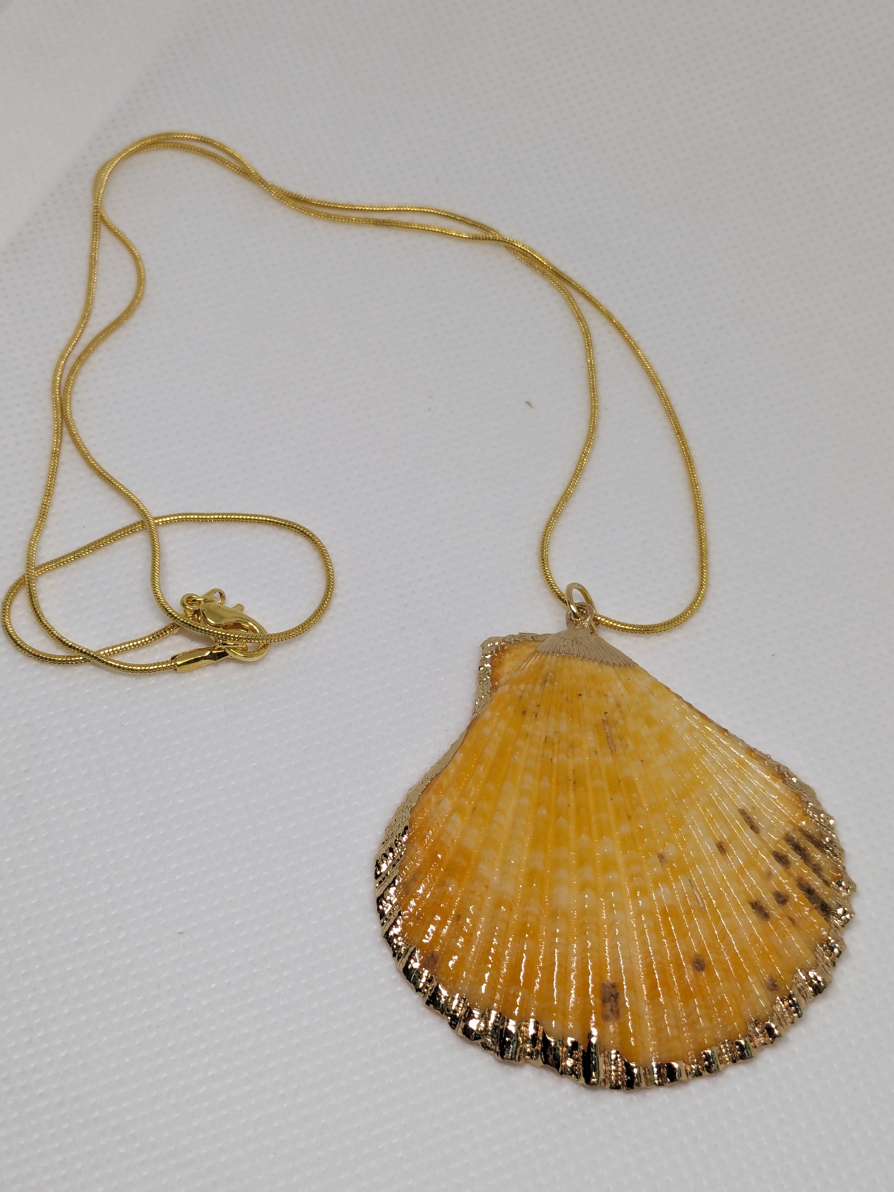 Scallop Shell Necklace 18" orange