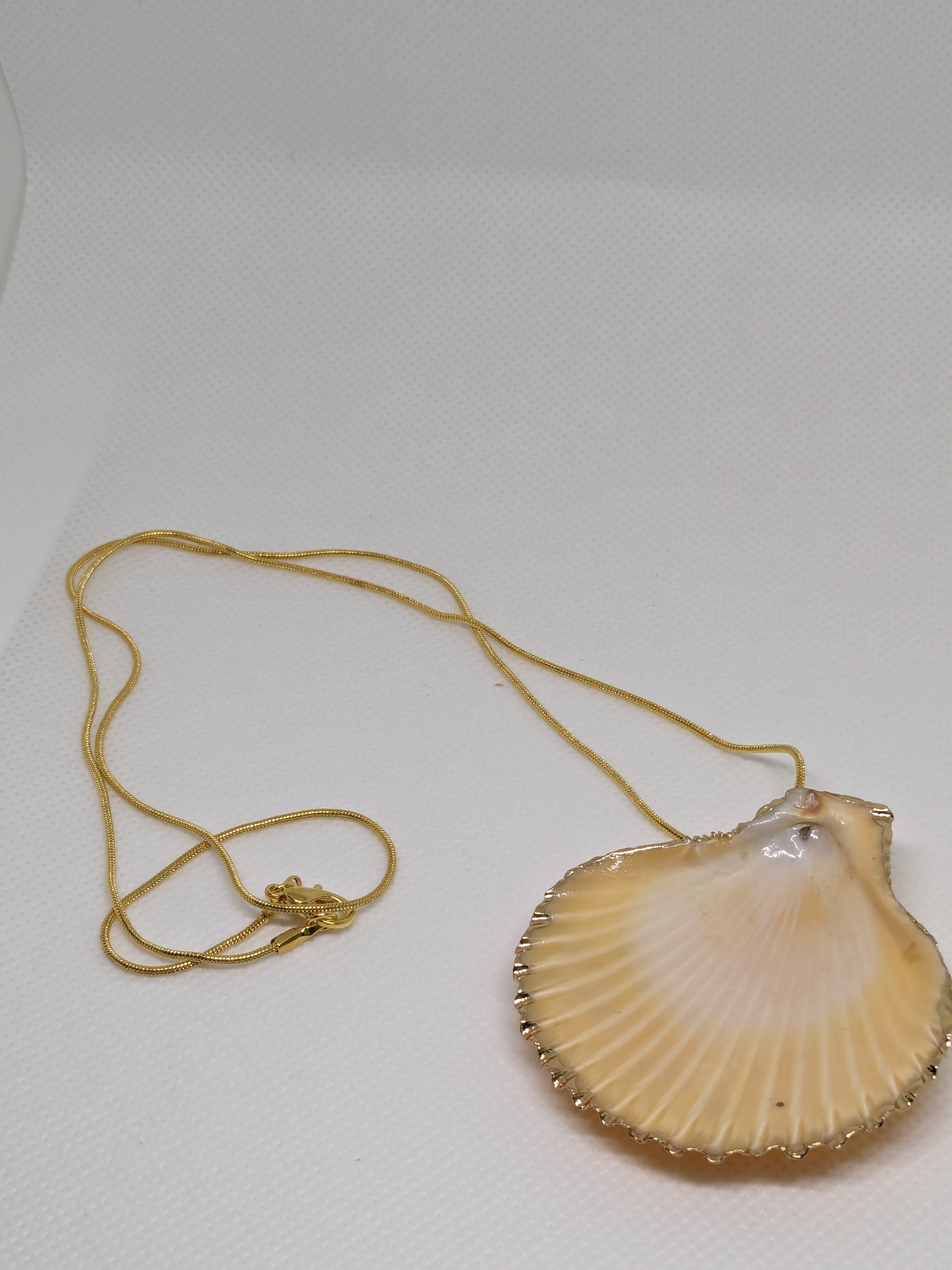 Scallop Shell Necklace 18" orange